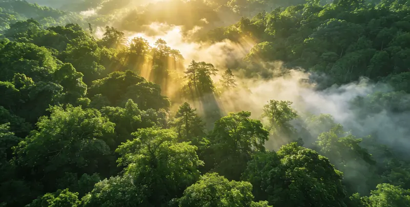 韶关肺癌68基因检测检测图1