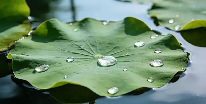 韶关BRCA1/2乳腺癌卵巢癌基因检测检测图1