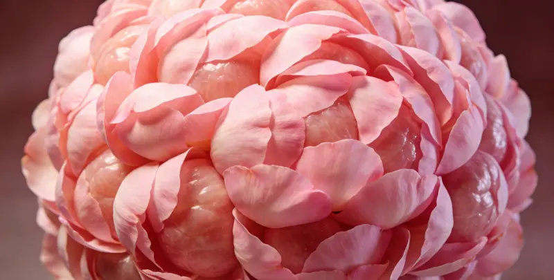 韶关乳腺/卵巢癌120基因ctDNA突变检测（血液）检测图1