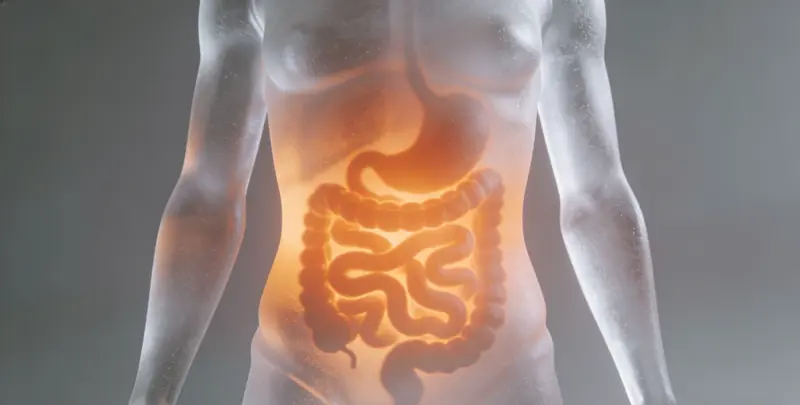 韶关肠癌甲基化检测检测图1